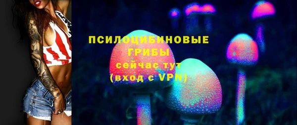 ПСИЛОЦИБИНОВЫЕ ГРИБЫ Белоозёрский